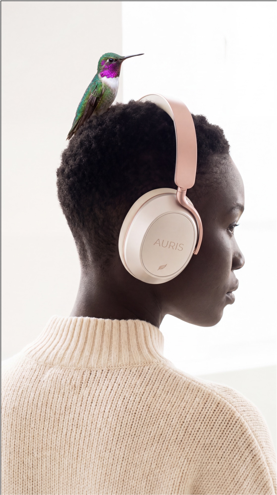 AURIS campaign cover